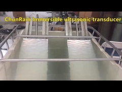 Immersible Ultrasonic Transducer